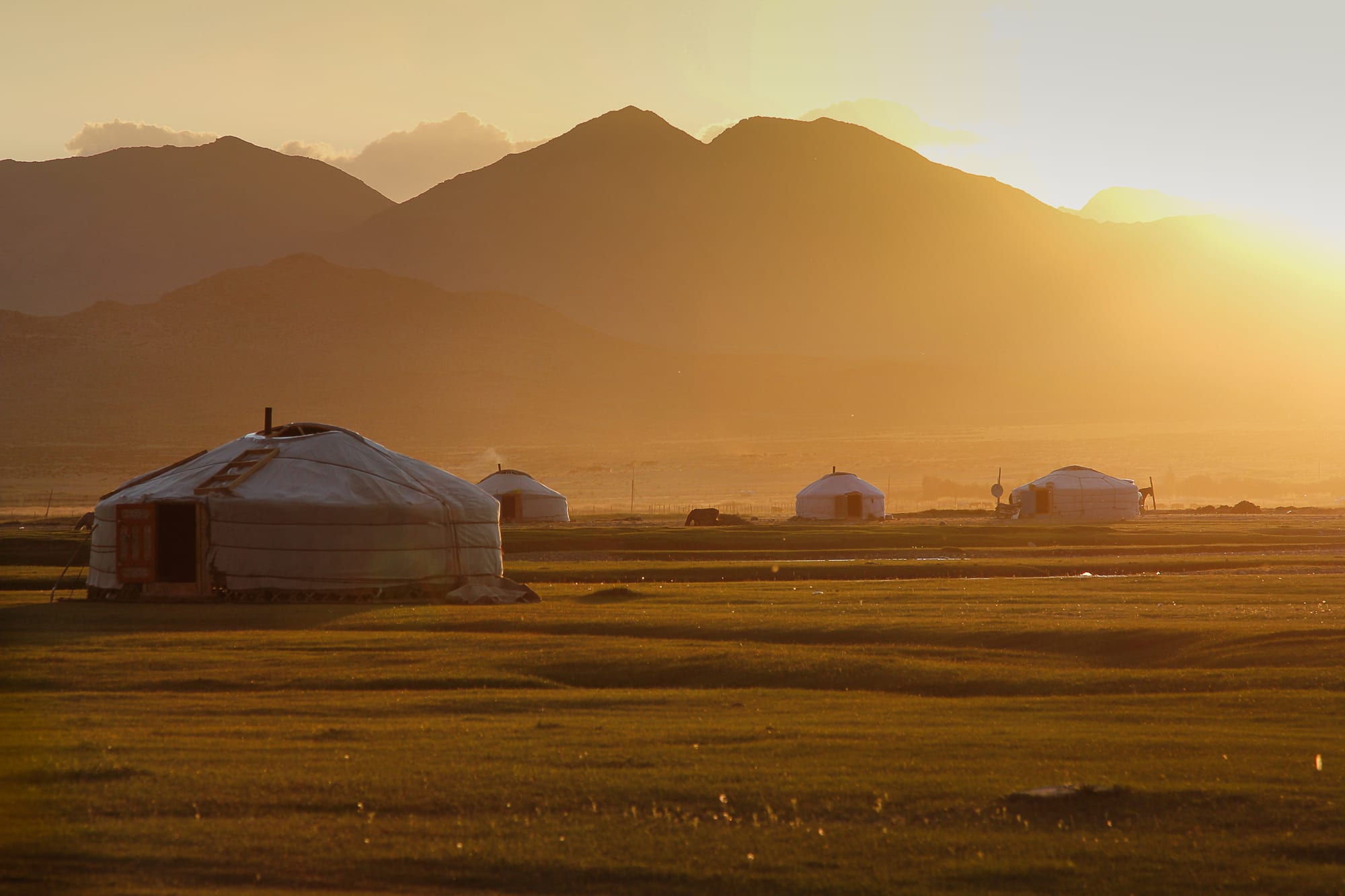 Mongolei – Barbara Vetter